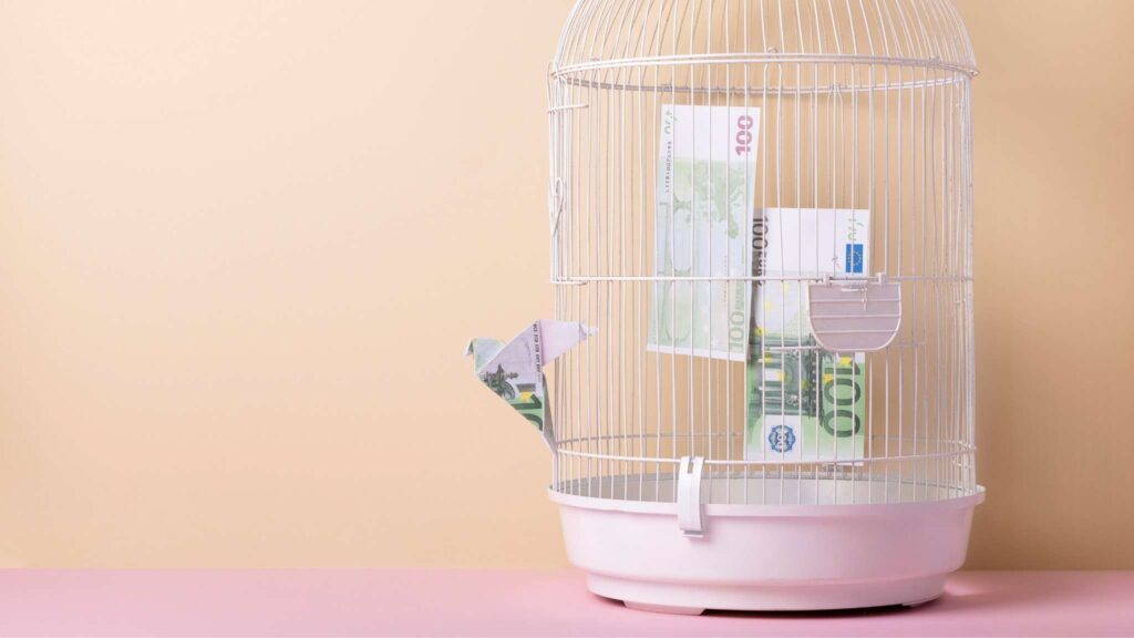 Imagem representando a falta de liberdade financeira devido ao endividamento. O dinheiro está preso em uma gaiola, e um dobrado em formato de pássaro, parece se preparar para voar. 